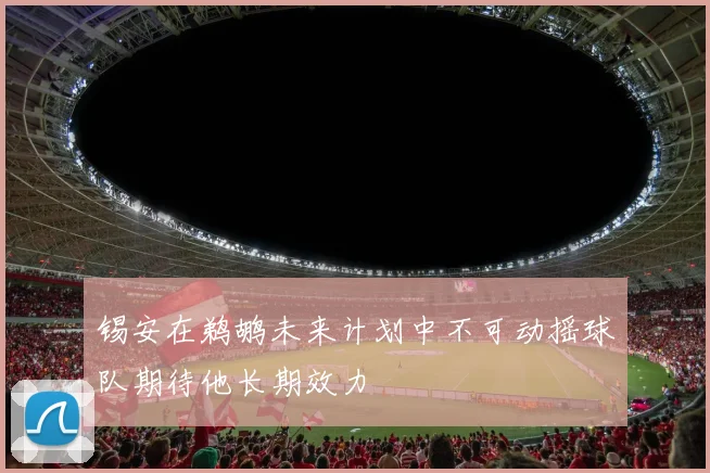 锡安在鹈鹕未来计划中不可动摇球队期待他长期效力
