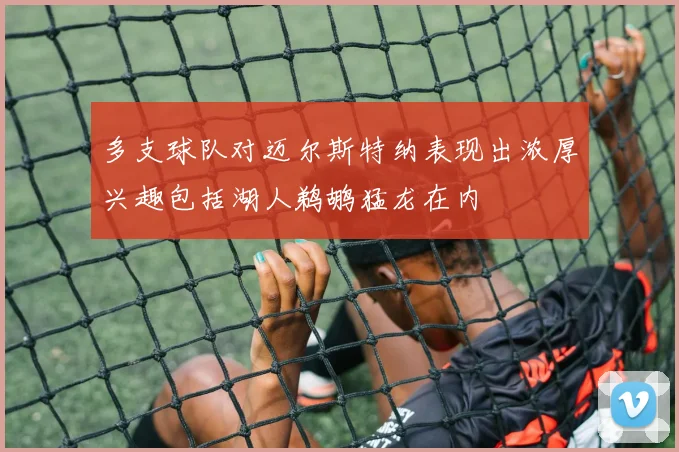 多支球队对迈尔斯特纳表现出浓厚兴趣包括湖人鹈鹕猛龙在内
